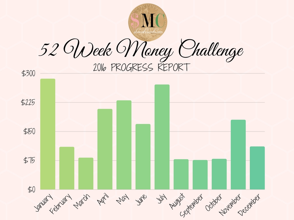 2016-money-challenge-yearly-report